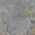 LSH2667