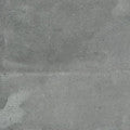 LSI1067