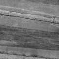 LSI1969
