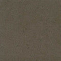 ZZ3667